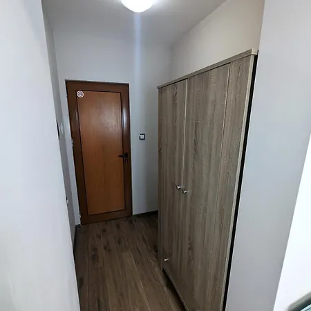 Sineva 普里莫尔斯科