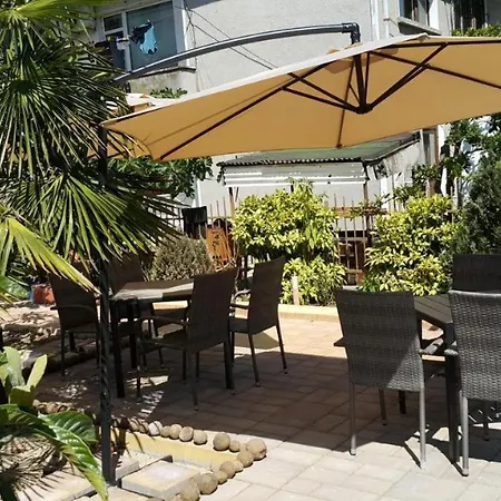 Sineva Guest house *