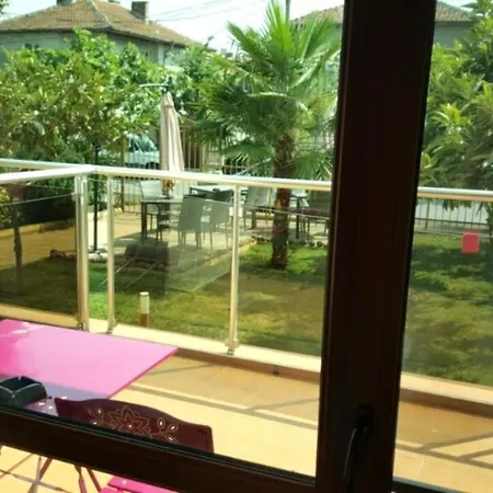 Sineva Guest house *